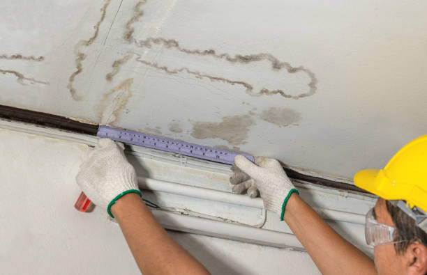 Reliable Flood Cleanup contractor in Waterloo, IA by Water Damage Irwin